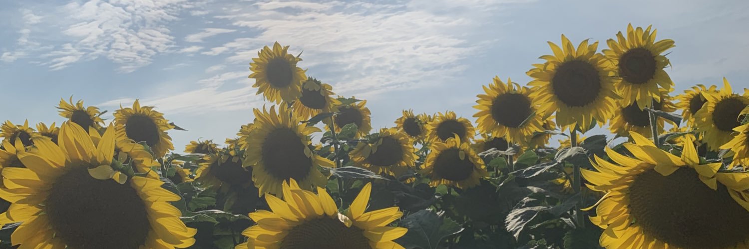zontzalktome's profile banner image