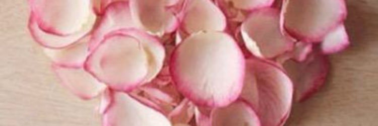 sp0aa's profile banner image