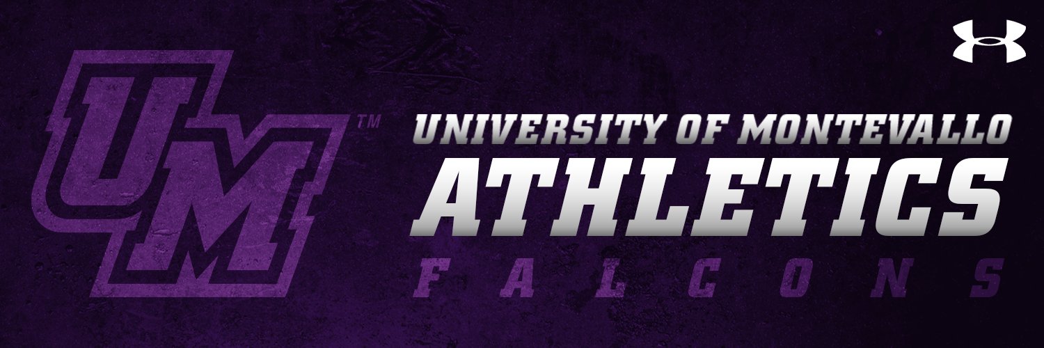 Montevallo Falcons banner