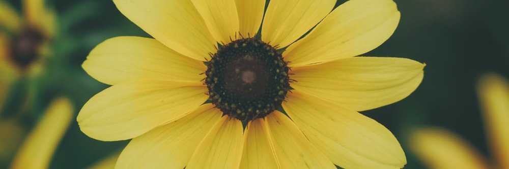 Emilynn8's profile banner image