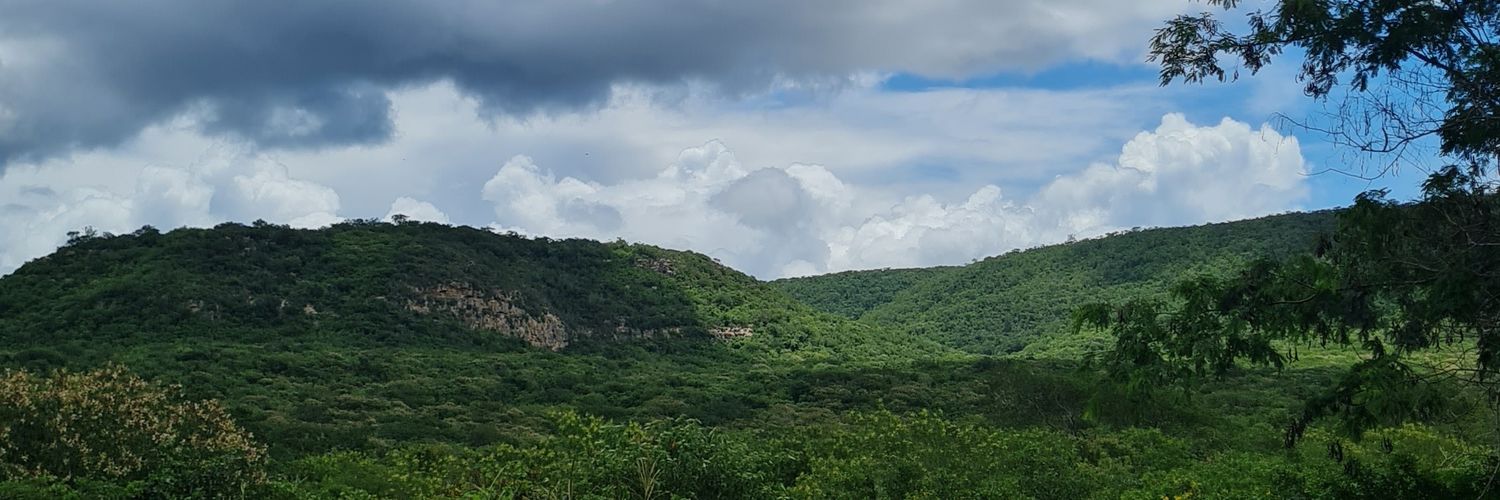 ddsdiniz's profile banner image