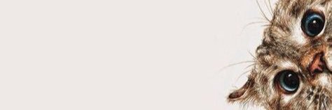 vi_2406's profile banner image