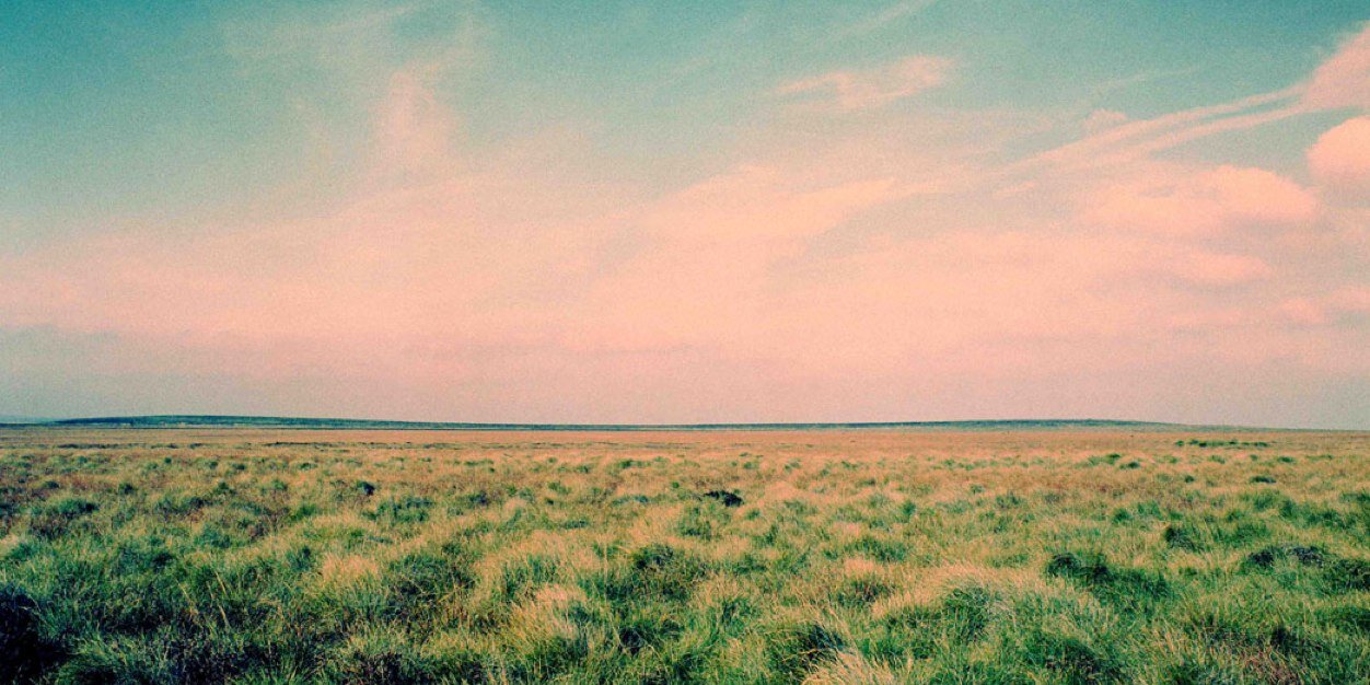 Adán Ramírez banner