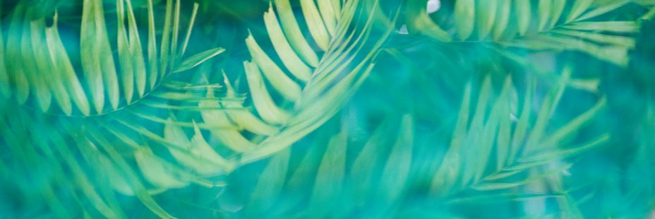 beatriceschv's profile banner image