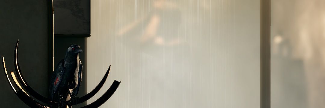 nekogaja's profile banner image
