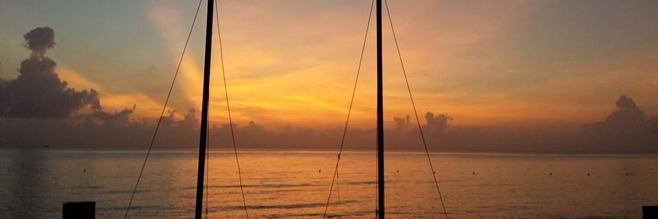 LauraSieben7's profile banner image