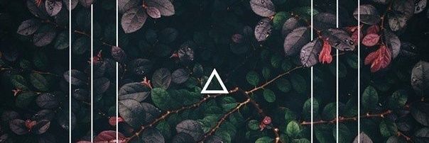 Geniusloci7's profile banner image