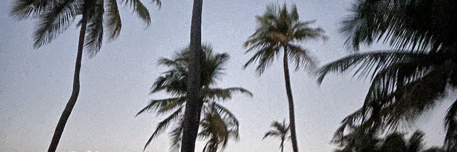 neellsm's profile banner image