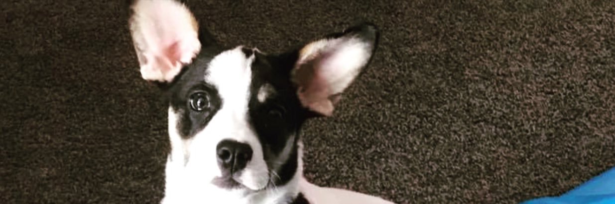 Edgaroreo's profile banner image
