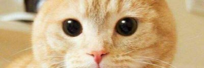 mikemcvic's profile banner image