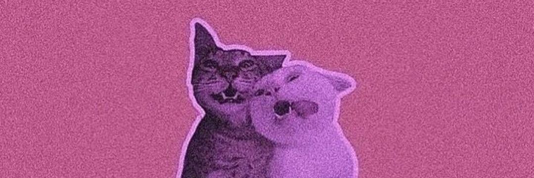 Beltrois's profile banner image