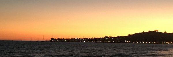 xSwaggermuffinx Profile Banner