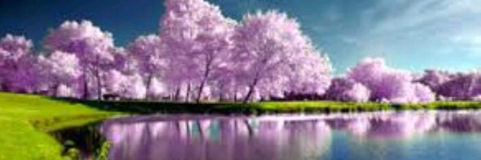 💜Angel💜 banner