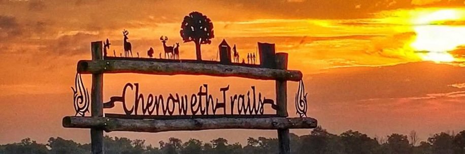 Light Foundation banner