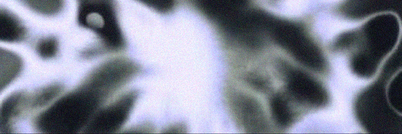 sapo viejo banner