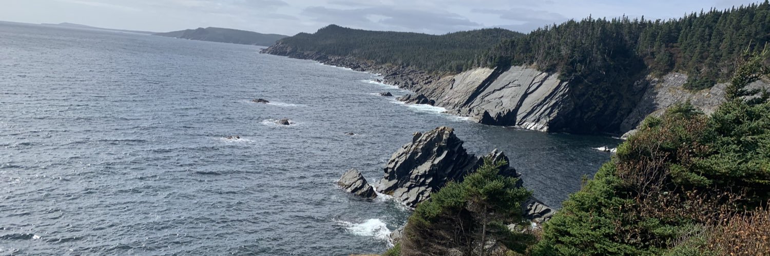 Jennifer Browne (she/her) banner