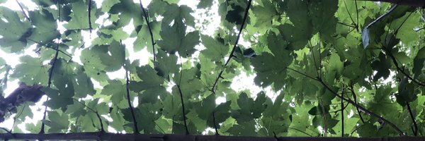 KatherineKennet Profile Banner