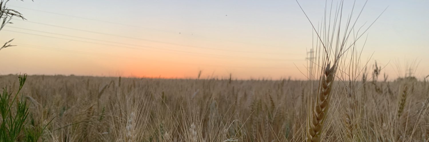 LisaHender's profile banner image