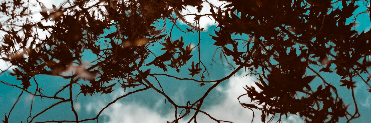 jasa_raw's profile banner image