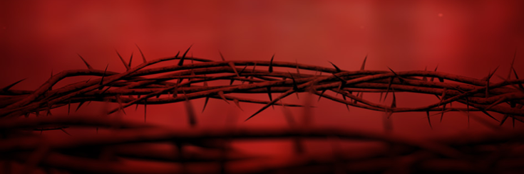 MisterM666's profile banner image