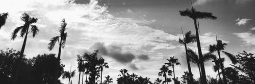 KylieJ_SP's profile banner image