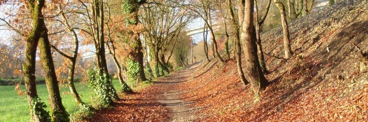 carmenFdCG's profile banner image