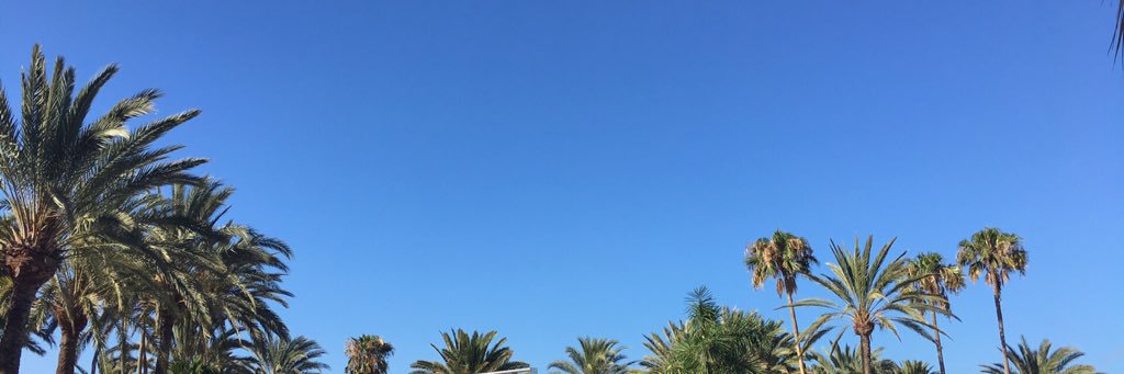 CoralDraper's profile banner image