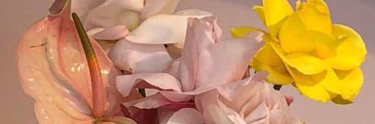 _MysticMeg_'s profile banner image