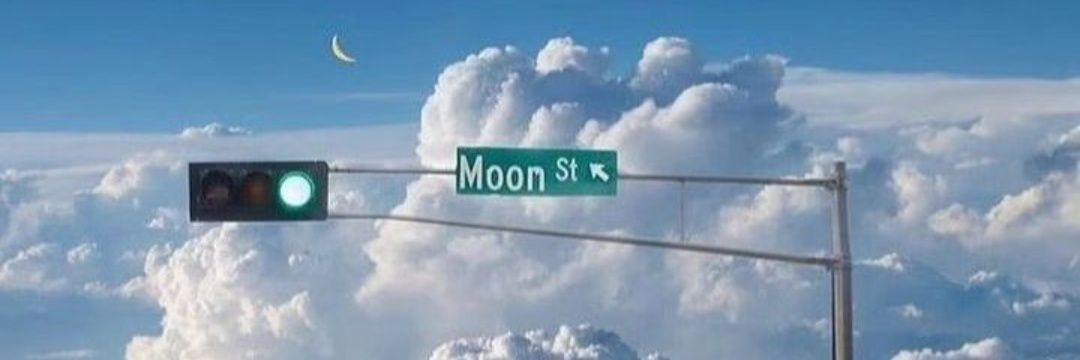 moonfluff☽(ﾑﾌ) banner