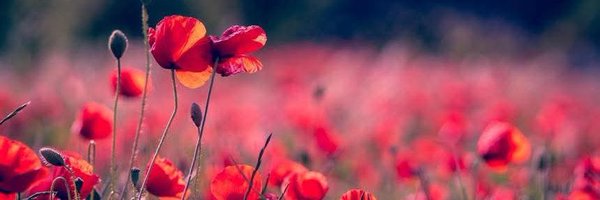 MissDemeanor07 Profile Banner