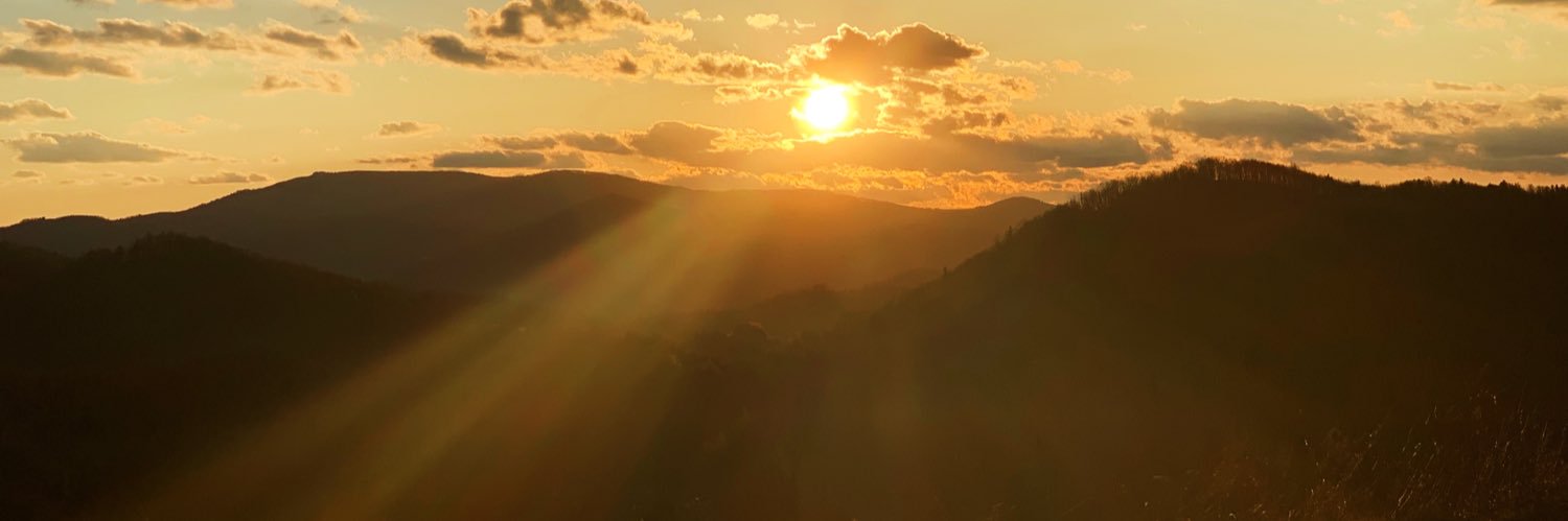 cassandrareidd's profile banner image