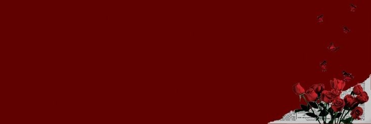 anittchella_'s profile banner image