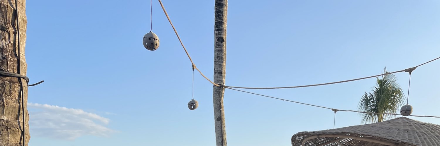 detoxise's profile banner image