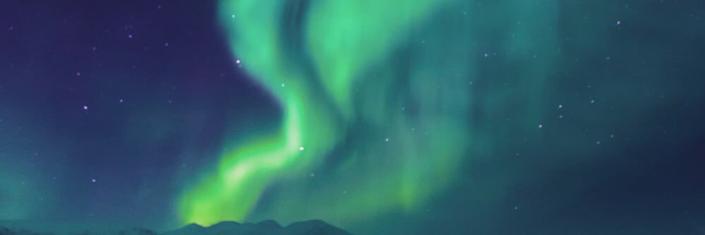 wolf9f23's profile banner image