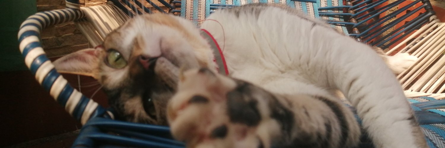 lubeis24's profile banner image
