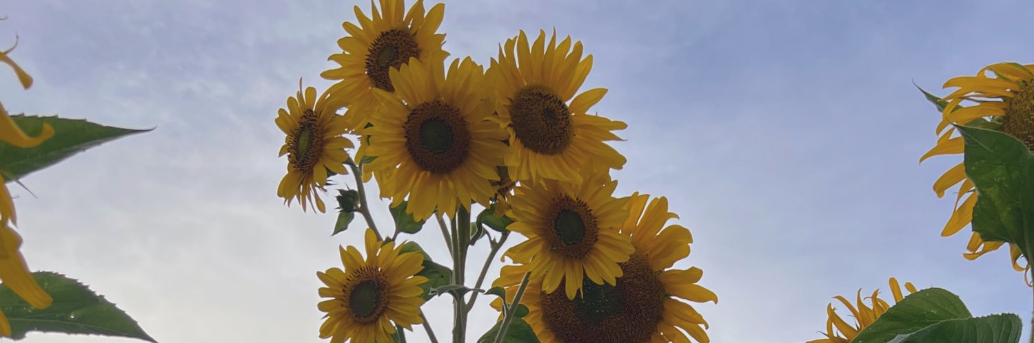 LaneyOfTheDuh's profile banner image