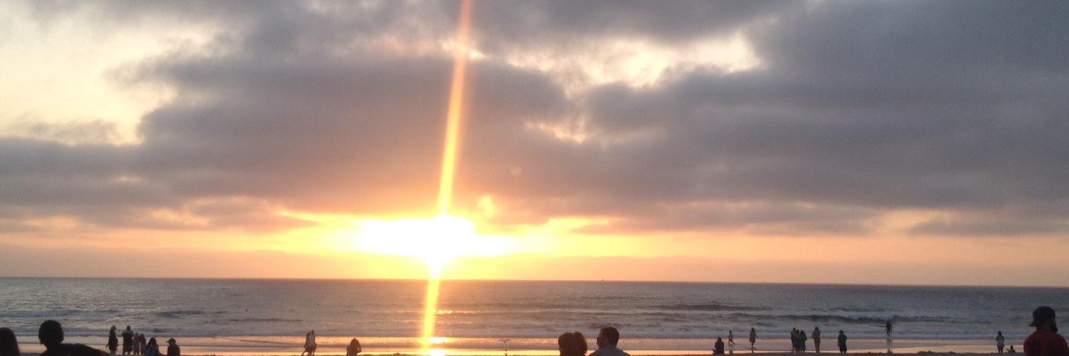 MandiSpector's profile banner image