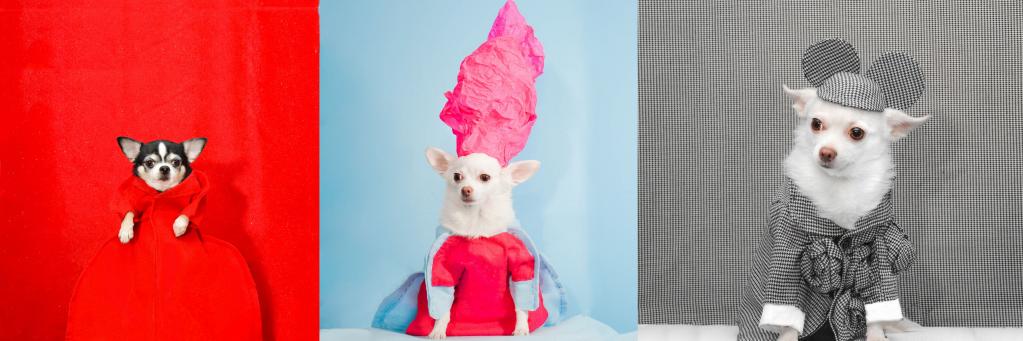 Anthony Rubio banner