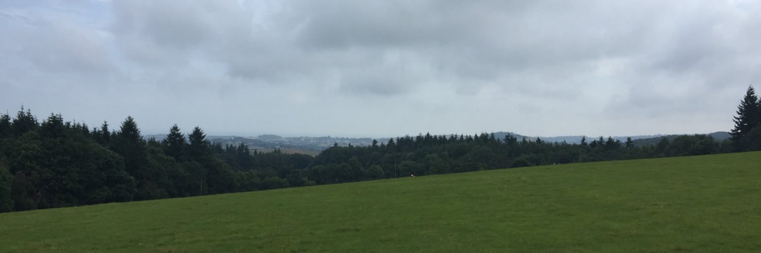 lewisjperry's profile banner image