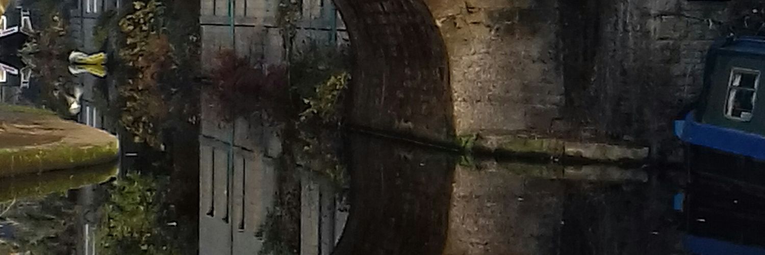 MarieSharkey4's profile banner image