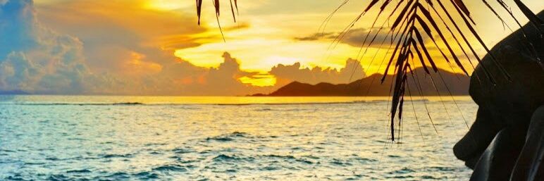 msanchez_27's profile banner image