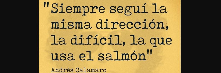 Fernando Meaños banner