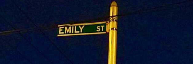 ditomoemily's profile banner image