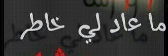 ab__abd's profile banner image