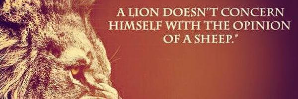TwittalessSha's profile banner image