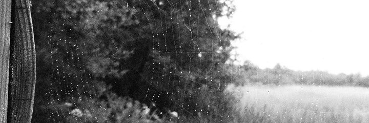 melperry1910's profile banner image