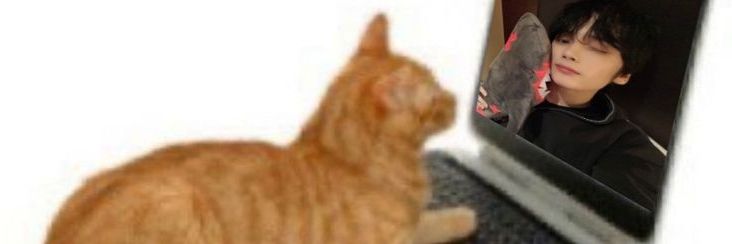 sappyxo's profile banner image