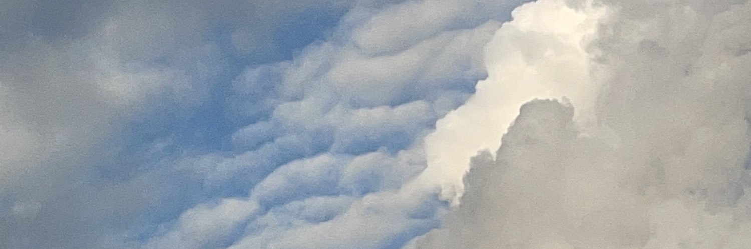 xantpa's profile banner image