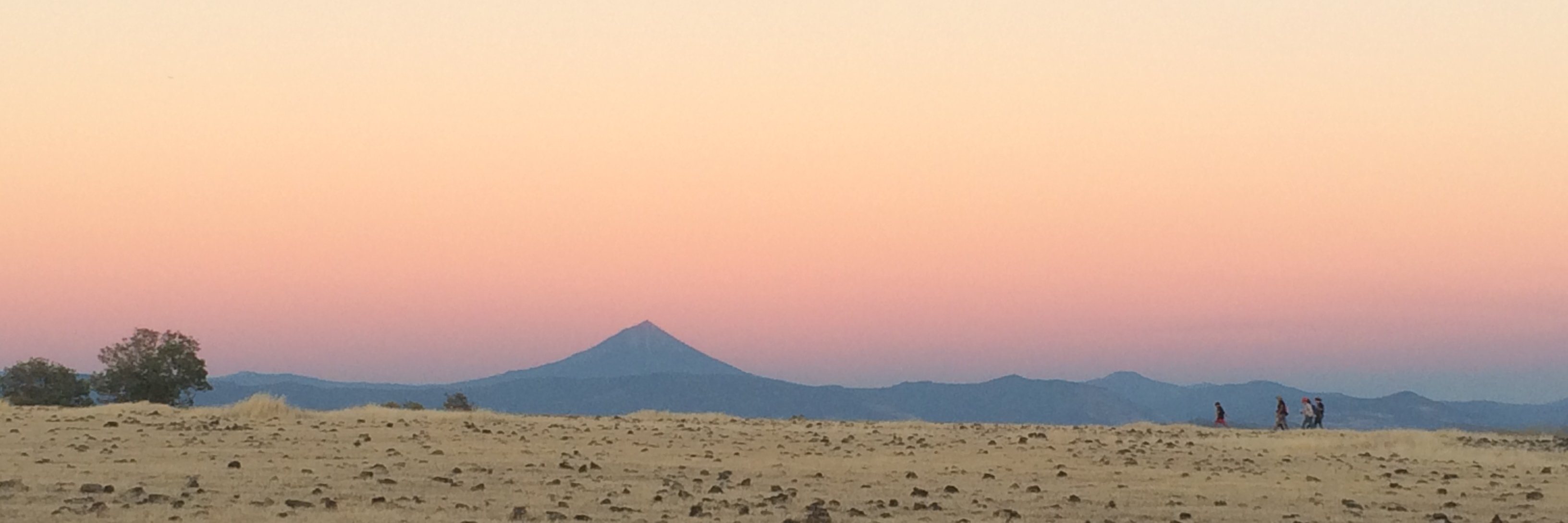skanofsky's profile banner image