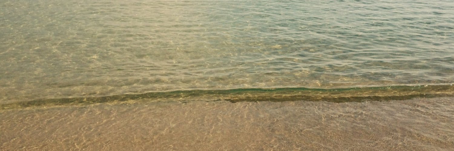 SavoryLisa's profile banner image